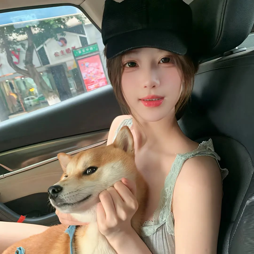 托米和灵猫